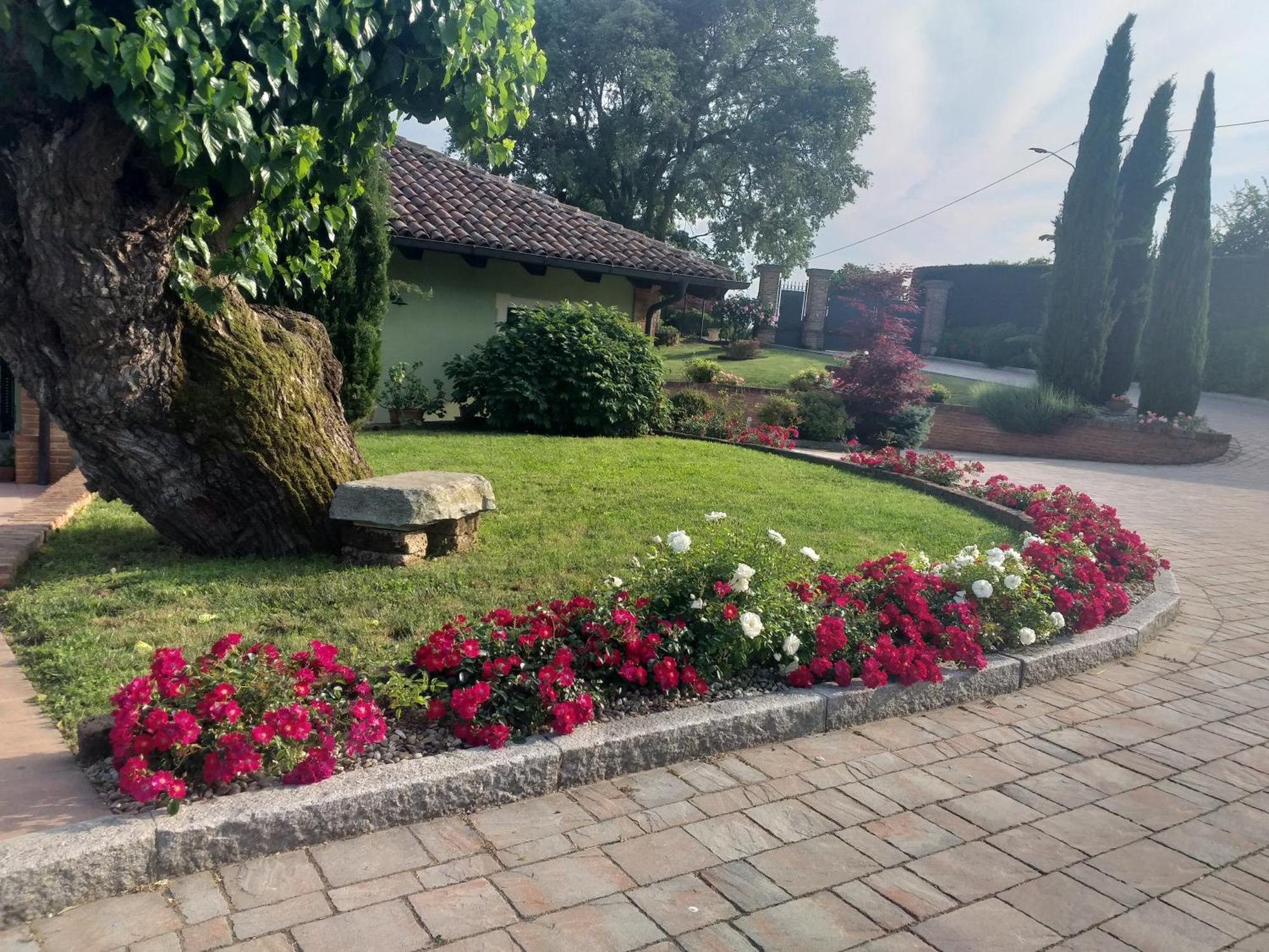 B&B La Bianchina Monale Exteriör bild